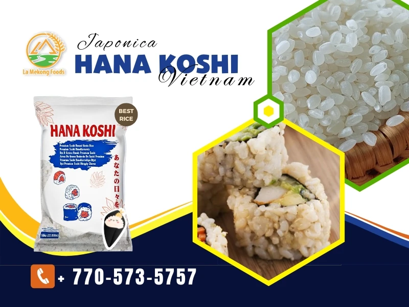 Unlocking the Secrets of Japonica Hana Koshi: The Mineral-Rich Rice from Lamekongfoods