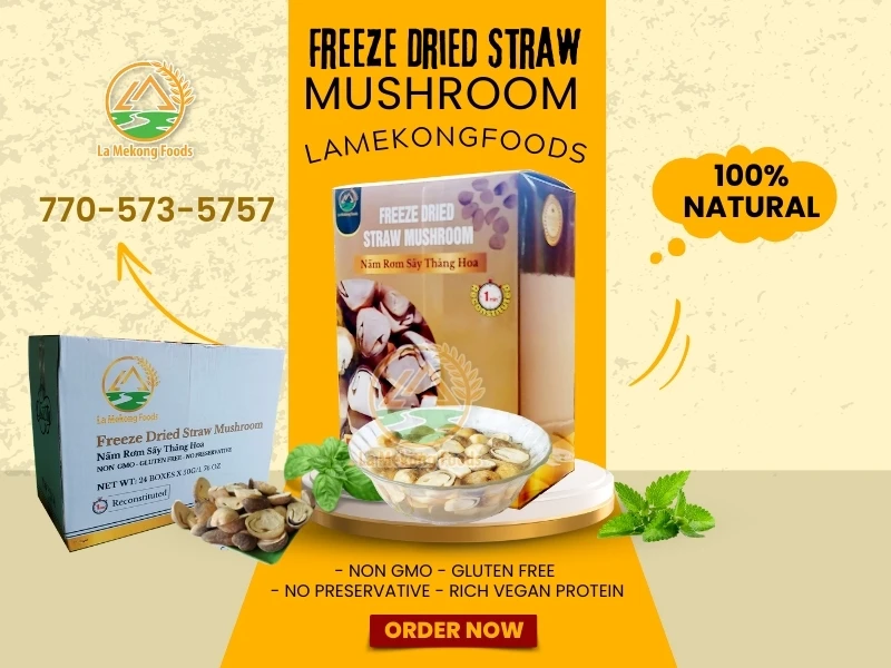 Unveiling the Power of Straw Mushrooms: Your Ultimate Vegan Superfood